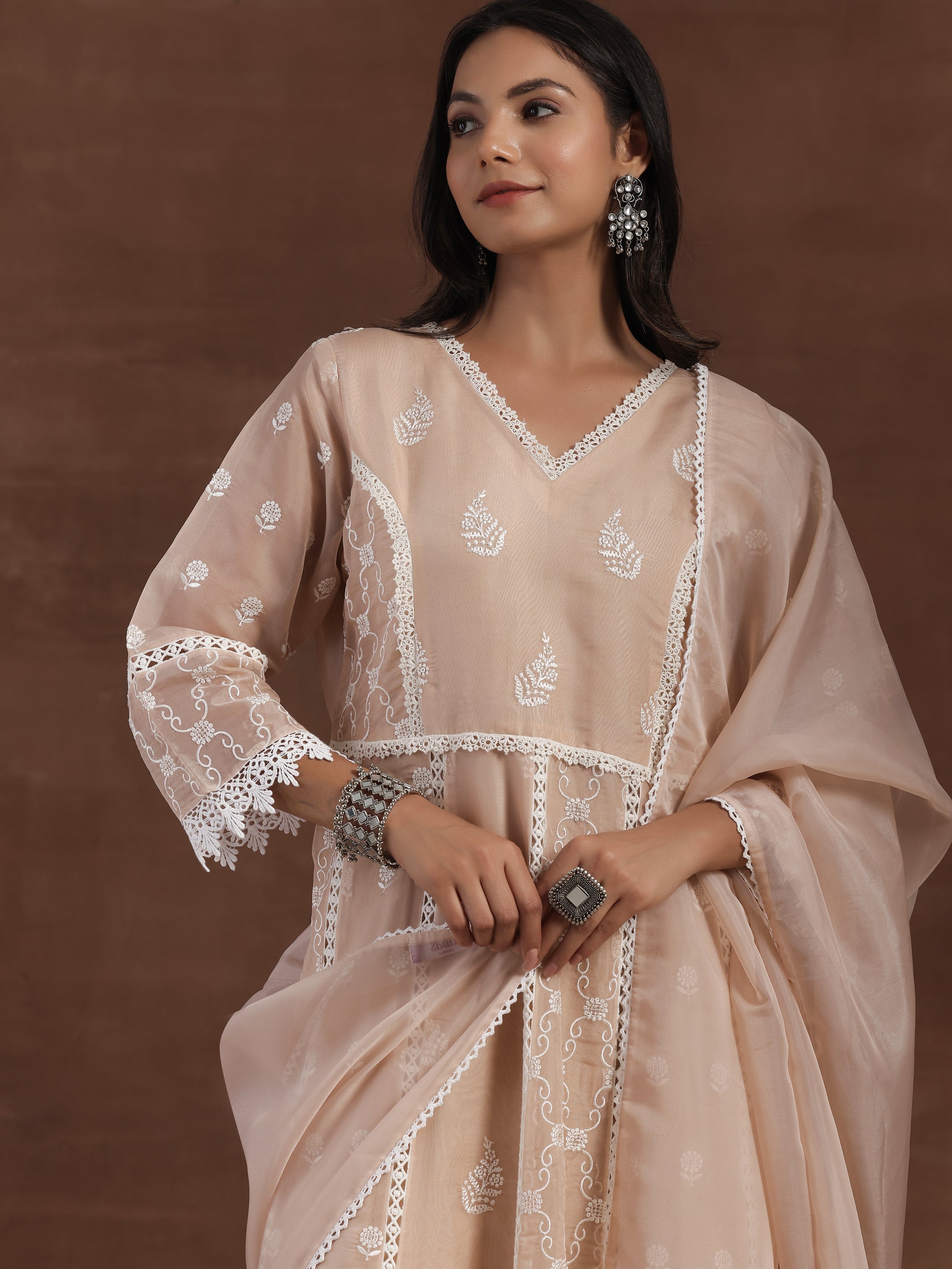 Nude Embroidered Organza A-Line Kurta With Palazzos & Dupatta